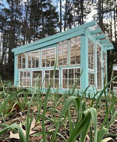 a small blue building sitting in the middle of a forest