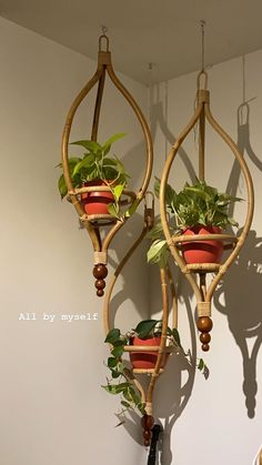 three hanging planters with plants in them