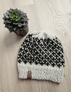 a black and white knitted hat next to a potted succulent plant