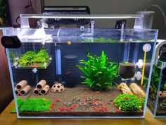 a fish tank filled with plants and rocks