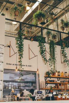 the interior of a coffee shop with hanging plants