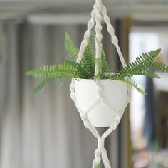 a potted plant hanging from a white macrame rope with green plants in it