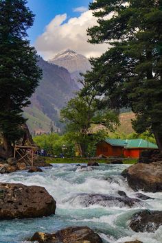 a river running through a lush green forest filled with trees next to a mountain range