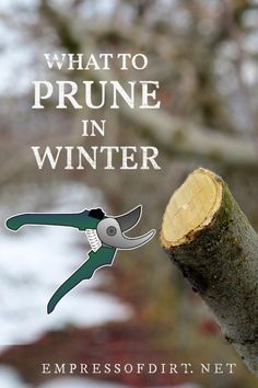 an image of a prune in winter with the words, what to prune in winter