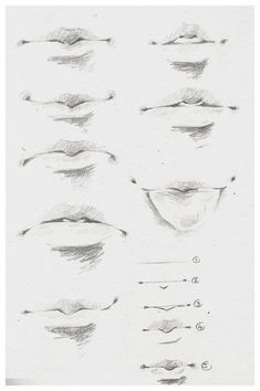 a drawing of different shapes and sizes of the eyes, including one eyelide