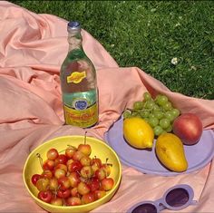 there is a bowl of fruit and a bottle of water on the blanket next to it