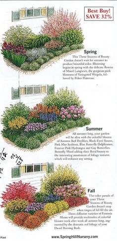 the different types of flowers are shown in this garden diagram, which shows how to grow them