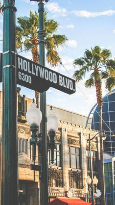 the street sign for hollywood blvd is posted on a lamp post with palm trees in the background