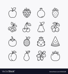 fruit line icons set on white background