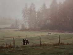 two horses grazing in a foggy pasture