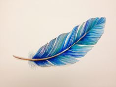 a drawing of a blue feather on a white background