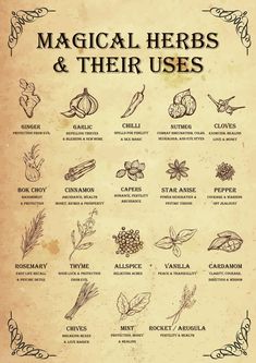 This magical herb poster will help you identify the magical uses of herbs and spices that you probably already have in your own witch's kitchen! Ideal for printing at A3 with no loss of quality, if you want this poster printed for you, please get in touch as I can supply them printed at a small additional cost. Please be aware that some other Etsy Sellers have been selling an inferior copy of my design (I didn't give it to them), and they're selling it for more than this, so it's best to get the