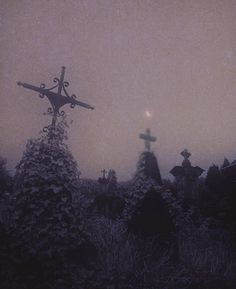 an old cemetery with crosses on it in the foggy night, surrounded by trees and bushes