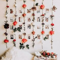 flowers are arranged on the wall with pictures attached to them