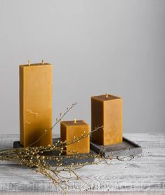 three candles sitting on top of a table next to some dried plants and twigs in front of them