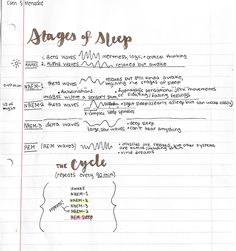 a piece of paper with writing on it and notes about stages of sleep in the night