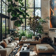 a living room filled with lots of furniture and plants on the windows sills