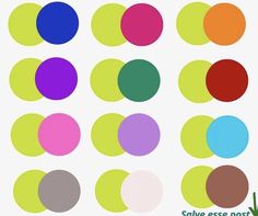 an image of different colored circles on a white background