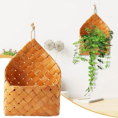 two baskets hanging on the wall next to each other with plants in them and one holding a potted plant