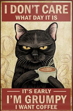 a black cat drinking coffee with the caption i don't care what day it is