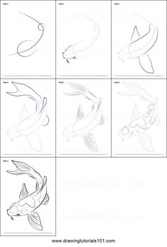 how to draw goldfish step by step