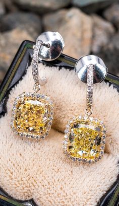 Yellow Cushion, Yellow Cushions, Fancy Lights, Cushion Cut Diamond, Halo Setting, Cushion Cut Diamonds, Diamond Drops, Diamond Drop Earrings, Pierced Earrings