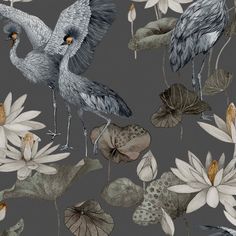 two birds and water lilies on a gray background