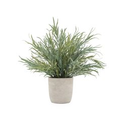 a potted plant sitting on top of a white table