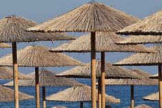 rows of straw umbrellas on the beach with blue water in the backgroud