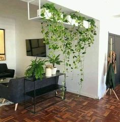 a living room filled with furniture and lots of green plants on the wall next to a flat screen tv