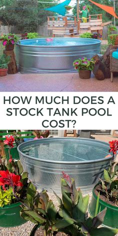 an above ground pool surrounded by plants and potted plants with the words do's, don'ts & faqs