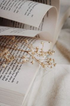 an open book with flowers on top of it