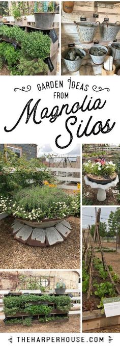 garden ideas from margarita silos