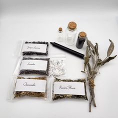 various herbs and spices are arranged on a white surface with labels for each individual item