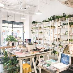 a room filled with lots of plants and books