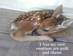 a baby deer laying on the ground next to an open door with a quote written above it