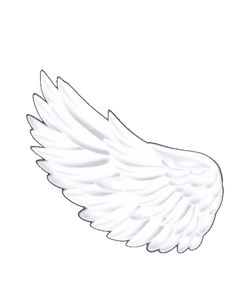 a drawing of an angel wing on a white background