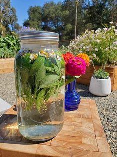 a jar filled with flowers sitting on top of a wooden table next to potted plants