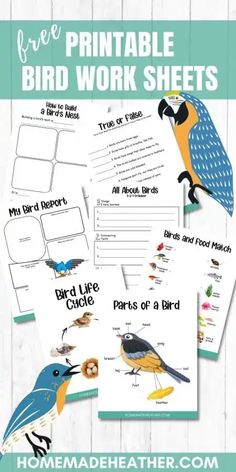 printable bird worksheets for kids and adults to learn how to use them