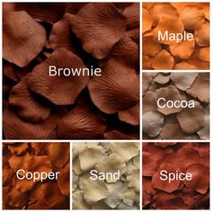 different types of flowers with names in the middle and bottom row, including copper, brown, cocoa, sand, and spice