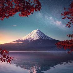 the night sky is reflected in the still water and tree branches with red leaves on them