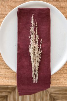 a white plate topped with a red napkin and two dried plants on top of it