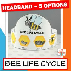 the bee life cycle helmet is on display for kids to learn how to use it