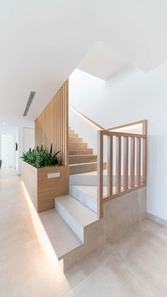 the stairs are made of wood and have planters on them