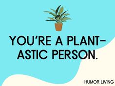 a plant in a pot with the words you're a plant - asic person