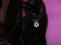 a black cat sitting on top of a bed next to a purple wall with a pentagram