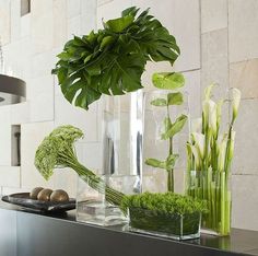 a vase filled with green plants on top of a counter