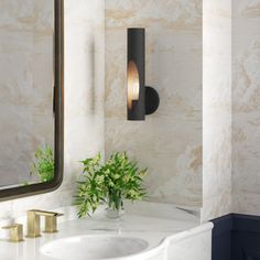 a bathroom sink with a mirror above it and a plant in the corner next to it