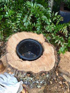 an outdoor fire pit in the middle of some trees and bushes with gloves on it