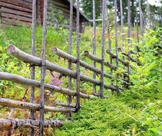 an old wooden fence is surrounded by green plants